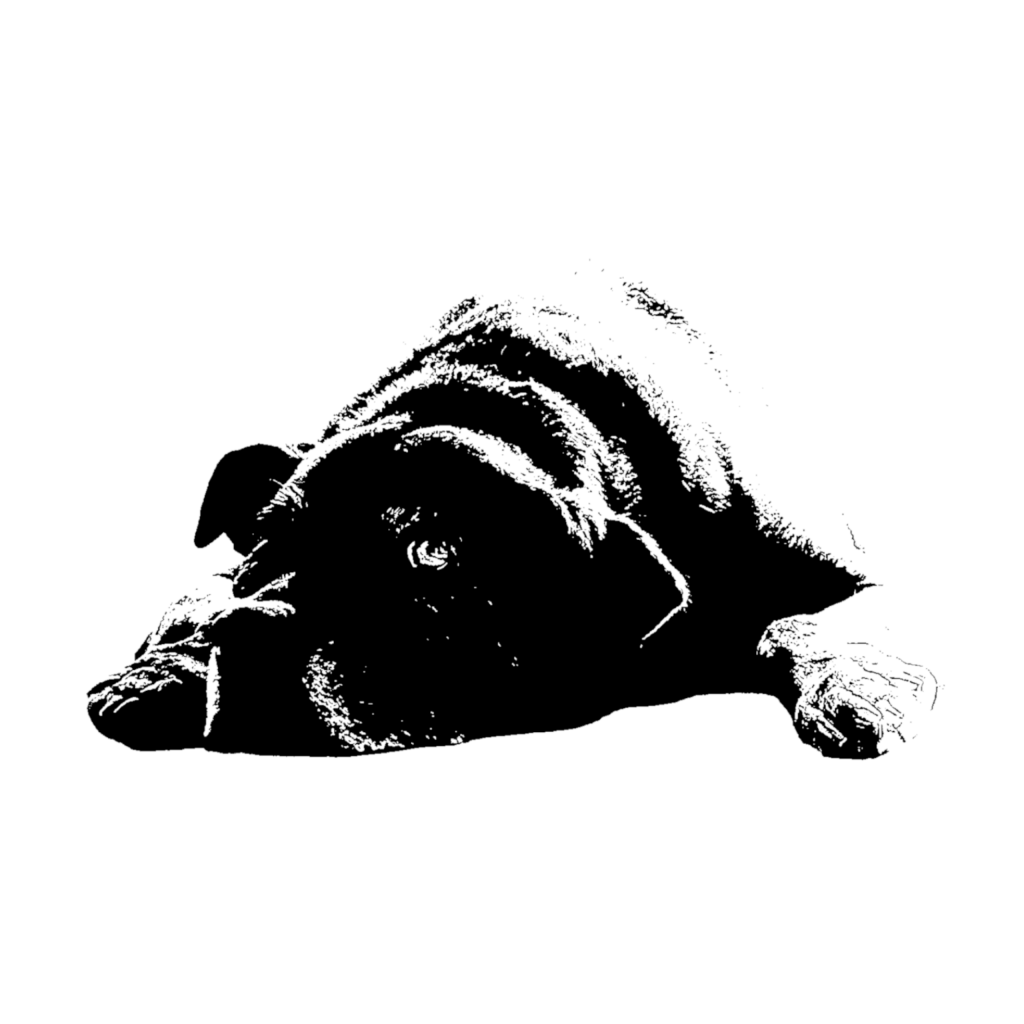 Old Dog Digital Logo